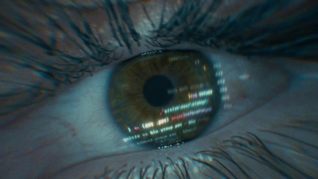 Video Reference: Eyebrow, Eye, Eyelash, Azure, Human body, Iris, Nerve, Electric blue, Close-up, Eyelash extensions