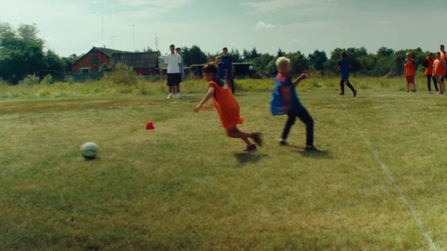 Video Reference: Sky, Sports equipment, Football, Tree, Cloud, Ball, Grass, Grassland, Plain, Landscape