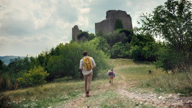 Video Reference: Plant, Sky, Cloud, Plant community, Nature, Natural landscape, Vegetation, Tree, Grass, Biome