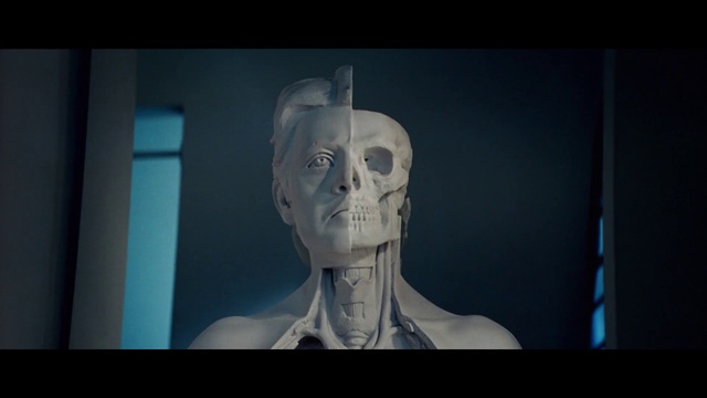 Video Reference: Jaw, Bone, Art, Window, Flash photography, Fashion design, Electric blue, Symmetry, Transparent material, Sculpture