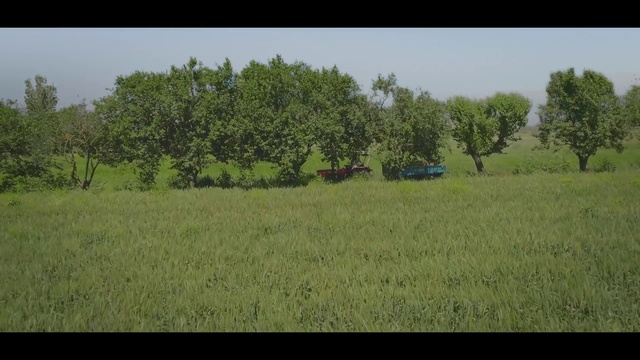 Video Reference: Plant, Sky, Tree, Natural landscape, Agriculture, Landscape, Tints and shades, Grassland, Font, Horizon