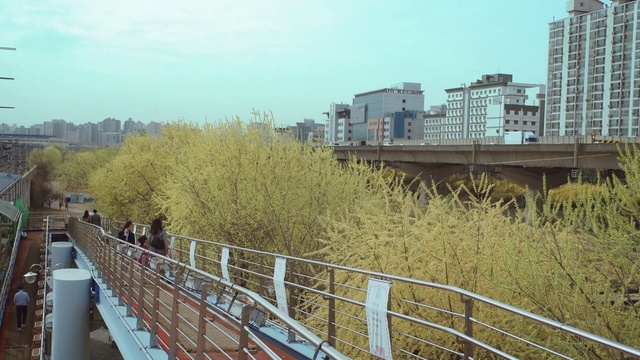Video Reference: Sky, Plant, Building, Fence, Tree, Street light, Urban design, Bridge, Road, City