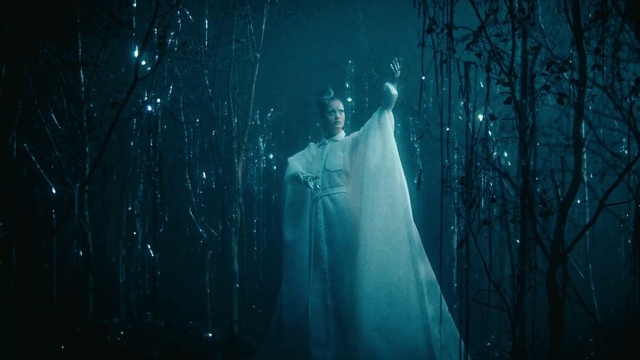 Video Reference: Plant, Sky, People in nature, Flash photography, Tree, Dress, Cg artwork, Electric blue, Forest, Event