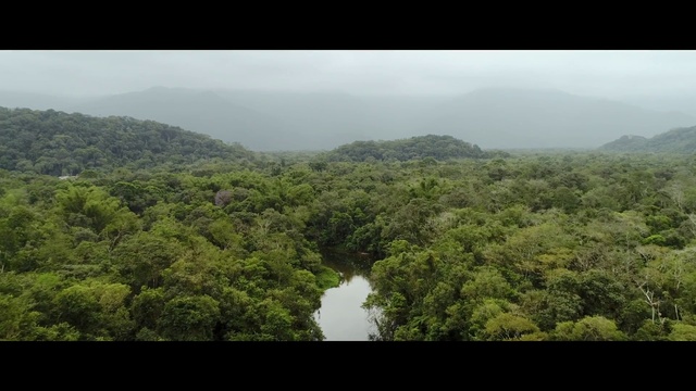 Video Reference: Sky, Mountain, Terrestrial plant, Natural landscape, Tree, Cloud, Biome, Terrain, Landscape, Forest
