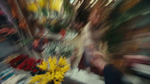 Video Reference: Flower, Plant, Leaf, Textile, Orange, Yellow, Petal, Window, Flower Arranging, Glass