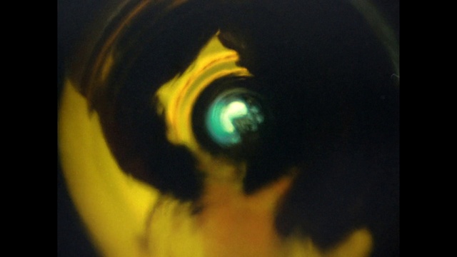 Video Reference: Eyelash, Iris, Whiskers, Art, Circle, Camera lens, Space, Felidae, Darkness, Electric blue