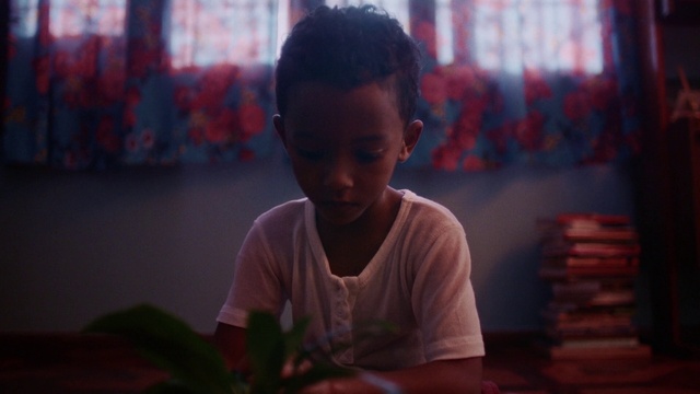 Video Reference: Human, Flash photography, Temple, Happy, T-shirt, Fun, Child, Leisure, Sitting, Darkness