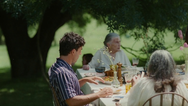 Video Reference: Tableware, Table, Shirt, Sharing, T-shirt, Wine glass, Leisure, Adaptation, Recreation, Grass