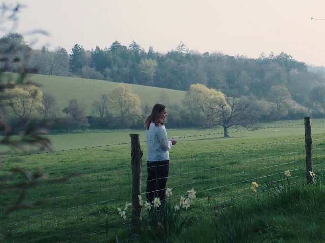 Video Reference: Plant, Sky, Ecoregion, People in nature, Tree, Natural landscape, Land lot, Grass, Plain, Landscape