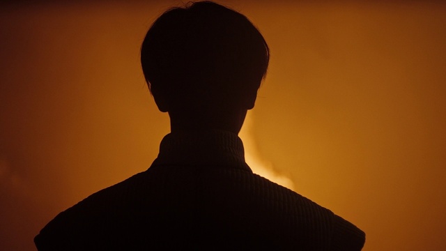 Video Reference: Head, Sunrise, Tints and shades, Sunset, Heat, Astronomical object, Backlighting, Facial hair, Wood, Art