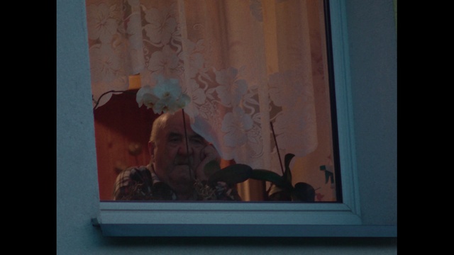 Video Reference: Art, Paint, Wood, Tints and shades, Painting, Rectangle, Display device, Event, Visual arts, Window