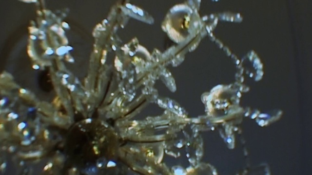 Video Reference: Water, Liquid, Terrestrial plant, Moisture, Jewellery, Marine biology, Dew, Twig, Drop, Metal