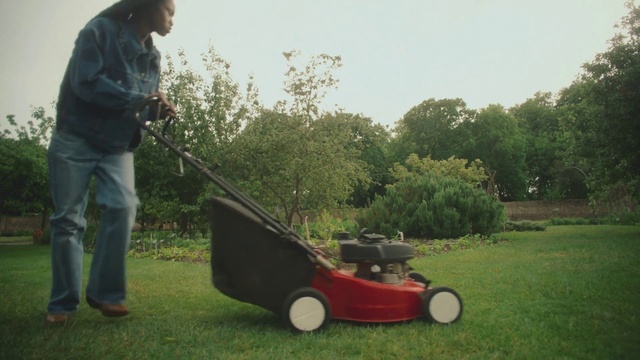 Video Reference: Wheel, Tire, Lawn mower, Plant, Walk-behind mower, Sky, Mower, Vehicle, Outdoor power equipment, Grass