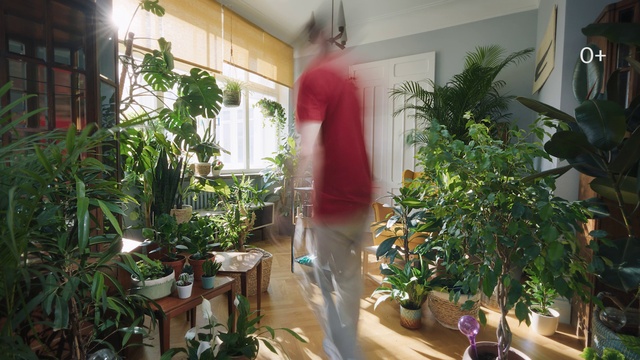 Video Reference: Plant, Property, Flowerpot, Houseplant, Light, Fixture, Interior design, Building, Real estate, Terrestrial plant