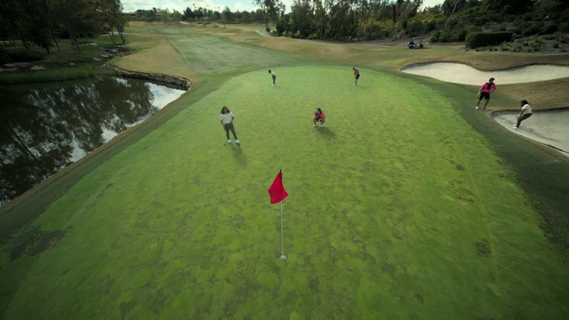 Video Reference: Golf, Plant, Sports equipment, Golf equipment, Tree, Golfer, Golf club, Professional golfer, Highland, Grass