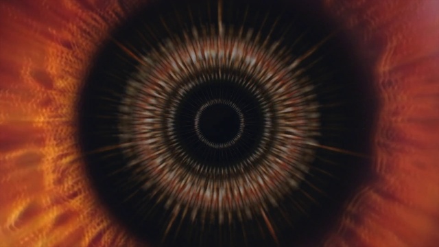 Video Reference: Brown, Eye, Eyelash, Human body, Nerve, Symmetry, Circle, Electric blue, Pattern, Macro photography