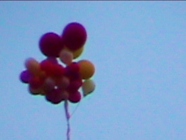 Video Reference: Sky, Plant, Flower, Cloud, Gesture, Balloon, Violet, Petal, Fruit, Flowering plant