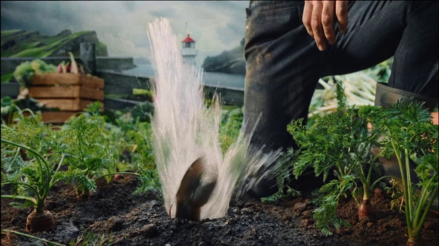 Video Reference: Plant, Wood, Grass, Natural landscape, Terrestrial plant, Trunk, Tree, Shrub, Groundcover, People in nature