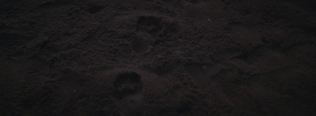 Video Reference: Road surface, Wood, Flooring, Asphalt, Concrete, Soil, Landscape, Darkness, Monochrome photography, Rock