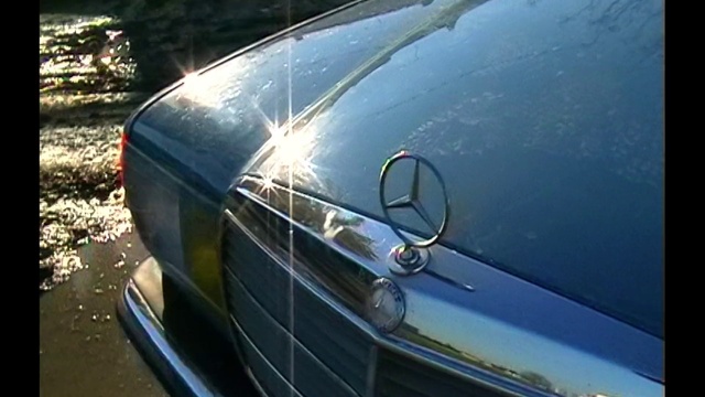 Video Reference: Car, Vehicle, Grille, Plant, Automotive lighting, Automotive parking light, Motor vehicle, Hood, Automotive design, Automotive exterior