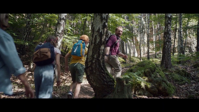 Video Reference: Plant, People in nature, Shorts, Tree, Terrestrial plant, Luggage and bags, Natural landscape, Backpack, Bag, Trunk