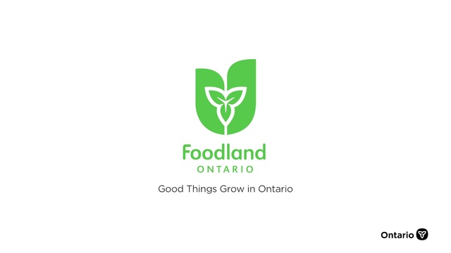 Video Reference: Font, Poster, Brand, Graphics, Logo, Grass, Illustration, Symbol, Graphic design, Art