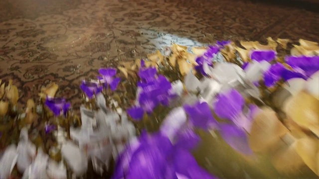 Video Reference: Flower, Purple, Plant, Organism, Petal, Violet, Grass, Magenta, Wood, Electric blue