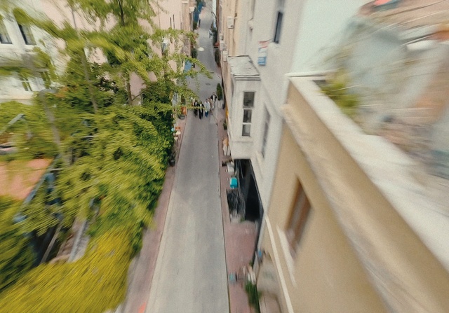 Video Reference: Building, Plant, Wood, Road surface, Urban design, Thoroughfare, Neighbourhood, Slope, Sidewalk, Road