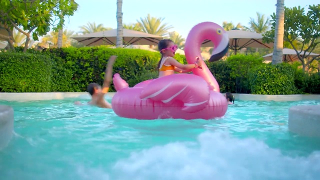 Video Reference: Water, Plant, Sky, Swimming pool, Tree, Pink, Leisure, Fun, Grass, Recreation