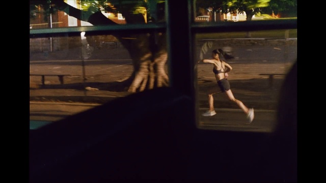 Video Reference: Window, Plant, Flash photography, Tree, Yellow, Shade, Asphalt, Road surface, Recreation, Grass