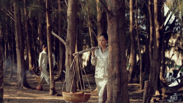 Video Reference: Plant, People in nature, Wood, Branch, Trunk, Tree, Terrestrial plant, Grass, Tints and shades, Forest