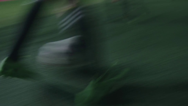 Video Reference: Plant, Water, Petal, Cloud, Tints and shades, Electric blue, Tree, Sky, Pattern, Grass