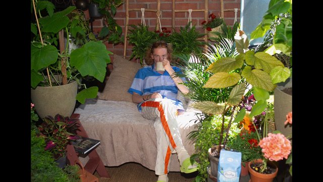 Video Reference: person, indoor, plants, potted plants, fern, couch, mug, relaxing, home decor, garden room, brick wall, greenery, natural light, lifestyle, casual, interior