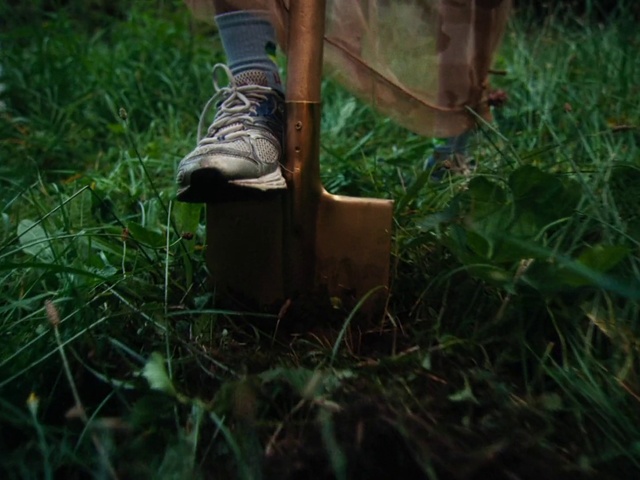 Video Reference: Shoe, Plant, Leg, Wood, People in nature, Vegetation, Terrestrial plant, Fawn, Grass, Groundcover