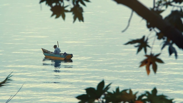 Video Reference: Water, Boat, Watercraft, Boats and boating--Equipment and supplies, Lake, Tints and shades, Plant, Calm, Wood, Leisure