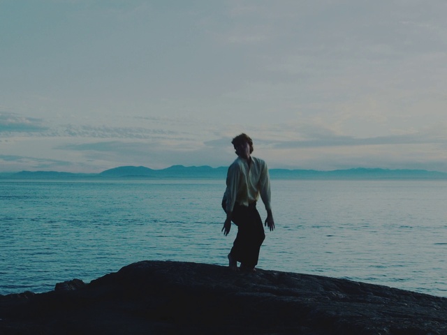 Video Reference: Water, Cloud, Sky, Standing, Lake, Travel, People in nature, Happy, Horizon, Leisure