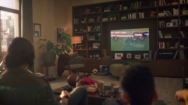 Video Reference: Interior design, Picture frame, Television, Couch, Shelf, Bookcase, Houseplant, Table, Living room, Plant