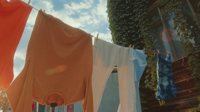 Video Reference: Sky, Cloud, Shade, Tree, Tints and shades, Flag, Facade, Wood, Landscape, Event