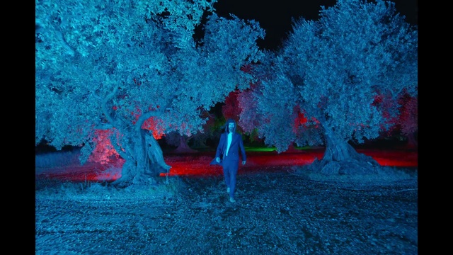 Video Reference: Blue, Nature, Azure, Plant, People in nature, Tree, Grass, Art, Natural landscape, Magenta