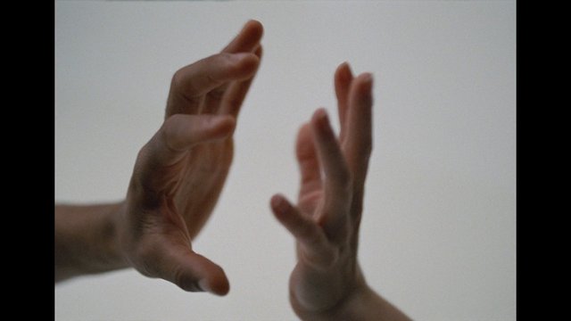 Video Reference: hands, gesture, reaching, close-up, background, fingers, human, interaction, minimal, abstract, touch, skin, posed, isolated