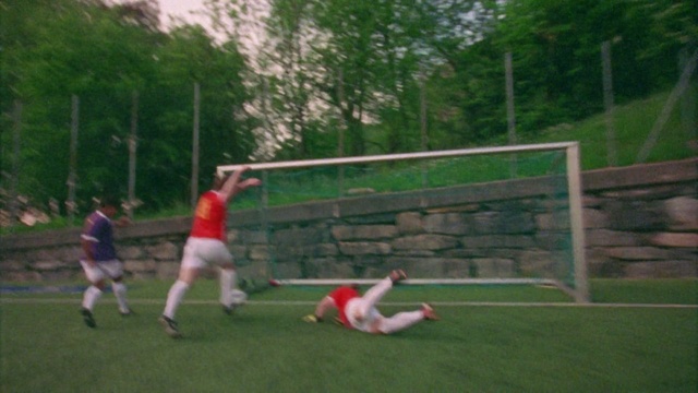 Video Reference: Shorts, Vertebrate, Plant, Tree, Fence, Sports equipment, Grass, Player, Net, Leisure