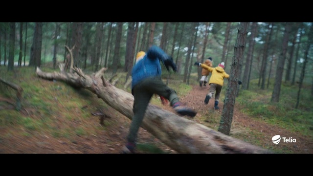 Video Reference: Plant, Jeans, Ecoregion, Tree, People in nature, Natural landscape, Organism, Wood, Vegetation, Helmet