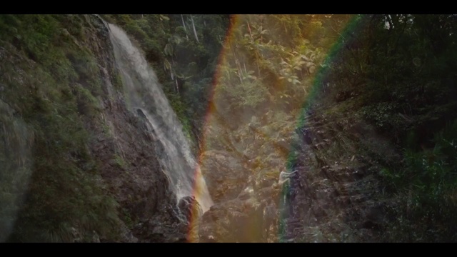 Video Reference: Water, Ecoregion, Waterfall, Organism, Natural landscape, Vegetation, Wood, Font, Chute, Geological phenomenon