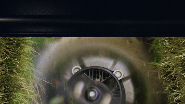 Video Reference: Wheel, Tire, Plant, Water, Automotive tire, Terrestrial plant, Eyelash, Rim, Grass, Automotive wheel system