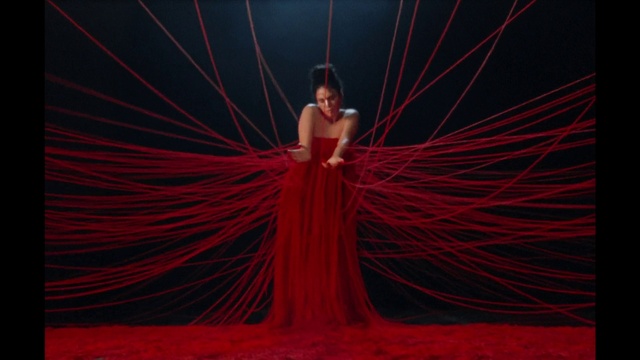 Video Reference: Hair, Human body, Red, Magenta, Symmetry, Electric blue, Marine invertebrates, Electricity, Art, Event