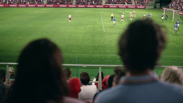 Video Reference: Plant, Green, Sports equipment, Soccer, Player, Grass, Fan, Ball game, Crowd, Leisure