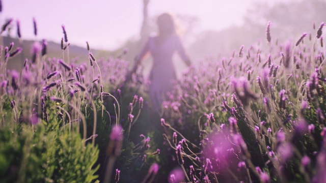 Video Reference: Flower, Plant, Atmosphere, Purple, Sky, Petal, People in nature, Sunlight, Vegetation, Grass