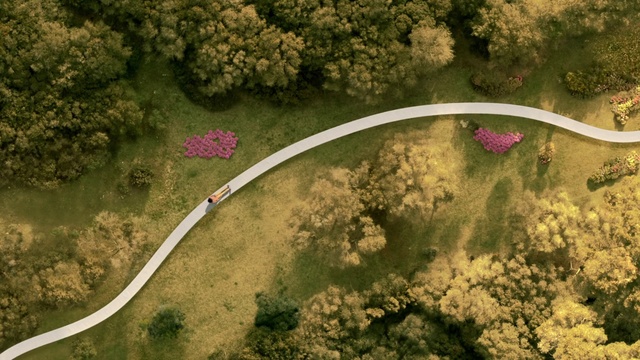 Video Reference: Plant, Vertebrate, Vegetation, Thoroughfare, Tree, Grass, Vehicle, Landscape, Road, Bridge