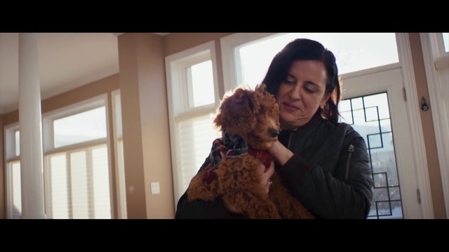 Video Reference: Dog, Hairstyle, Window, Water dog, Carnivore, Dog breed, Gesture, Happy, Companion dog, Fawn