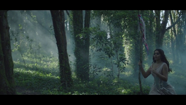 Video Reference: Plant, People in nature, Tree, Natural landscape, Wood, Terrestrial plant, Flash photography, Organism, Trunk, Grass